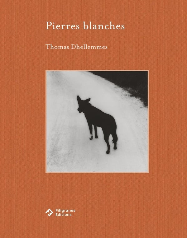 Dhellemmes - Pierres blanches