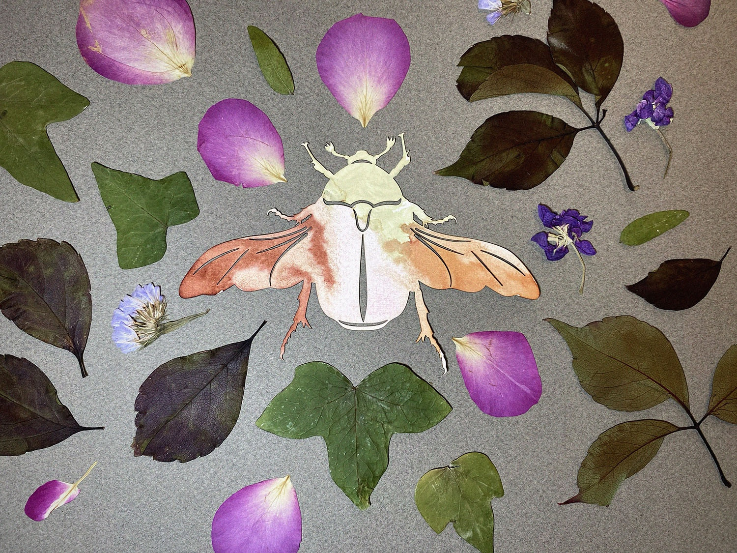 Stage vacances enfants 6-11 ans — S’émerveiller face au vivant – Stop motion avec Laure Chapalain
