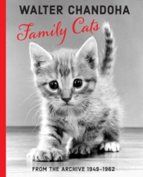 Chandoha - Family Cats ; From the archive 1950-1969