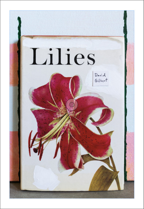 Gilbert – Lilies