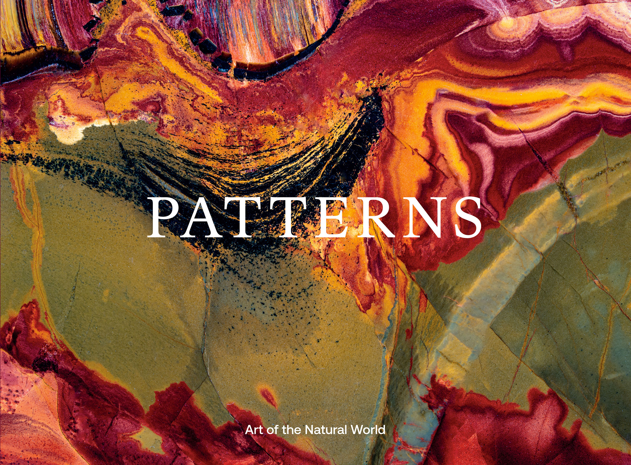 McCormack - Patterns ; Art of the Natural World