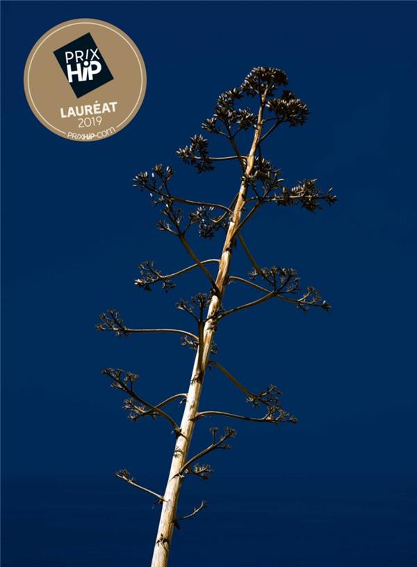 Lamoulère - Faux bourgs