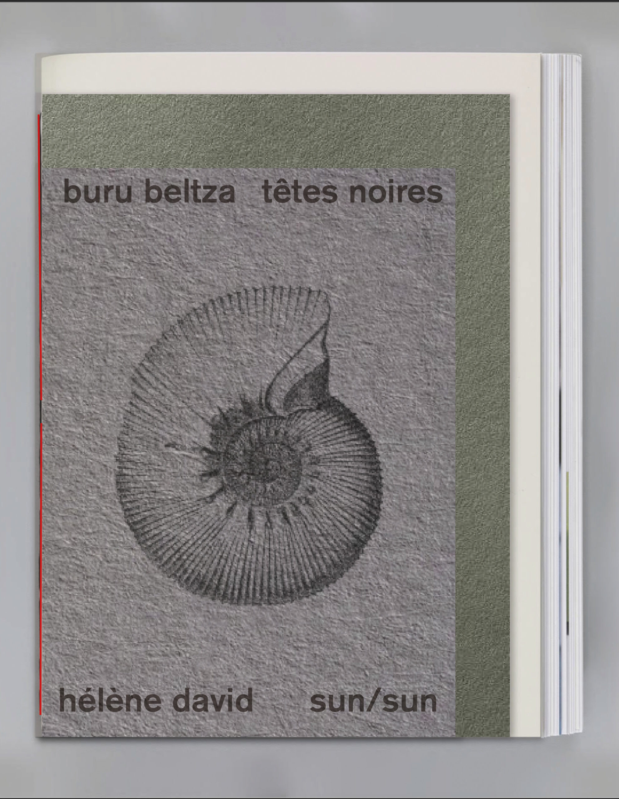 David ( Hélène ) - Buru Beltza / Têtes noires