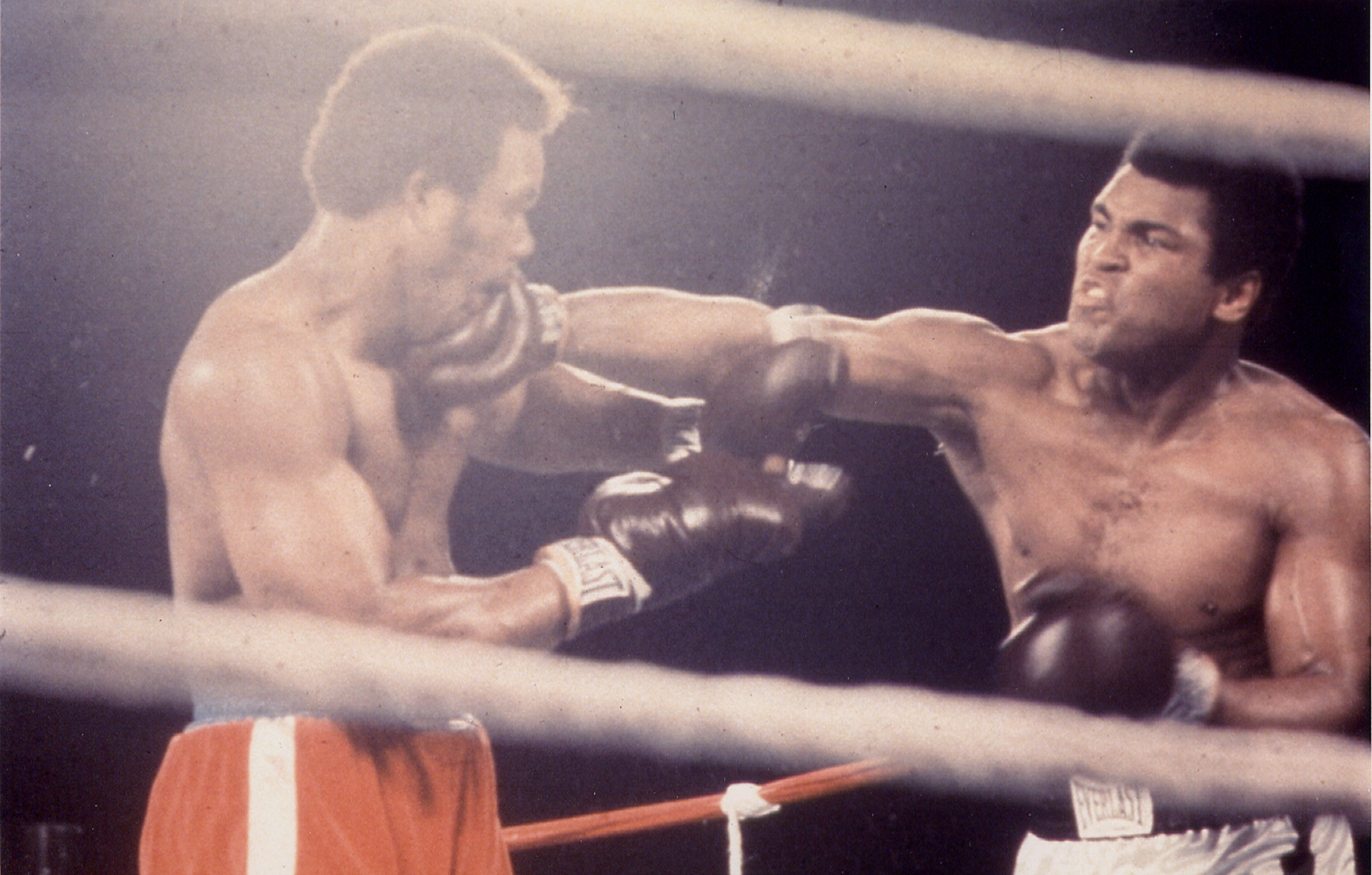 Projection du film <em>Muhammad Ali the Greatest</em> de William Klein