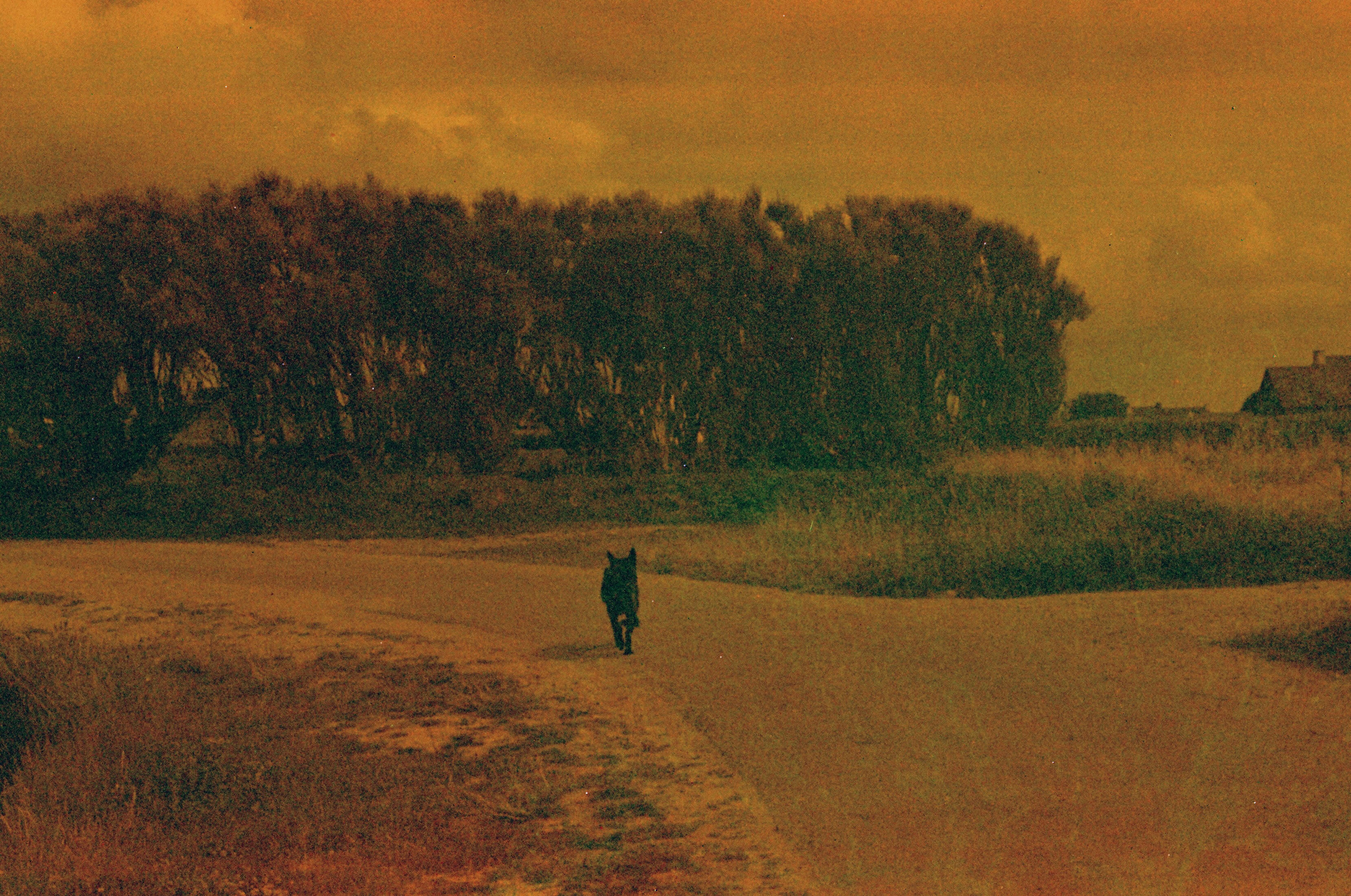 Nanténé Traoré — <em>pays des merveilles</em>