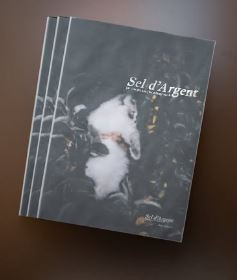 Sel d'argent no 4 ; revue photographique ; mars - juin 2026