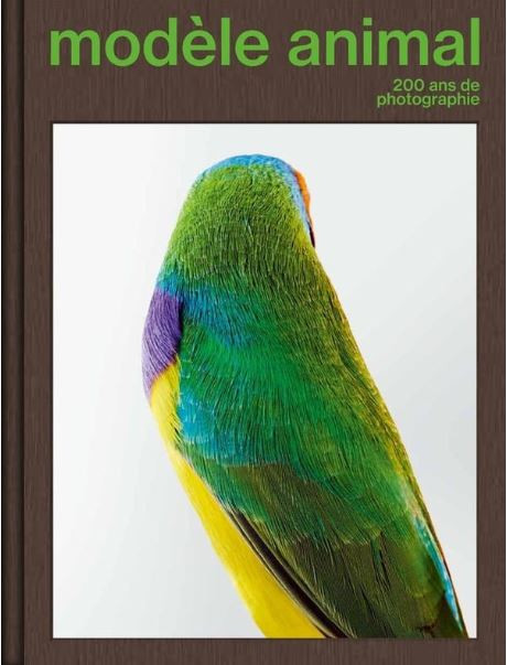 Modèle animal, 200 ans de photographie